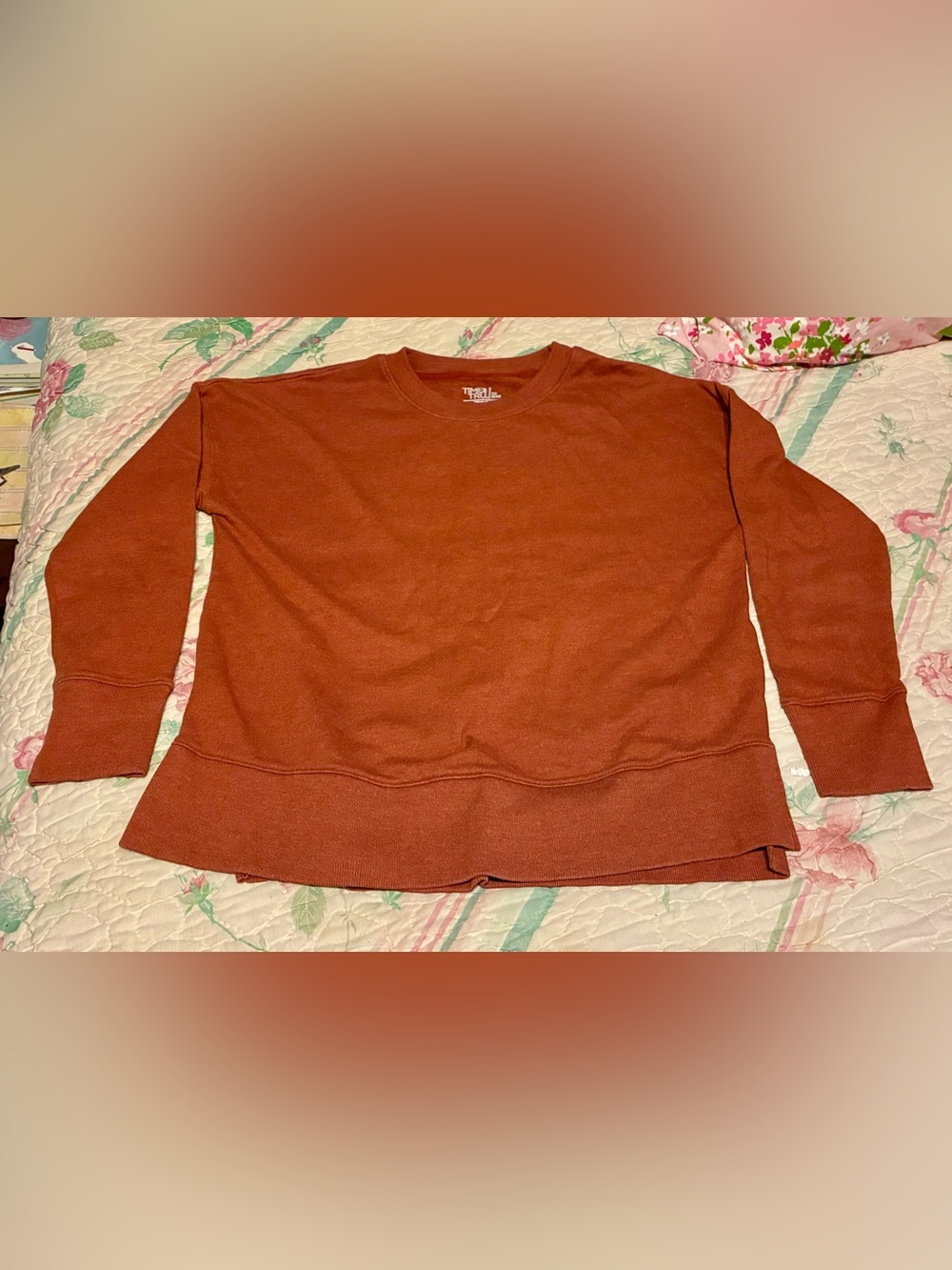 Time and Tru 2 Crewneck Sweaters and 1 Long Sleeve Shirt--Size M (3 Tops total)